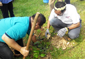 Planting Trees for Life